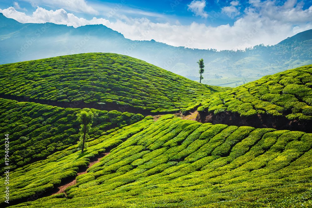 Munnar Monsoon Trek