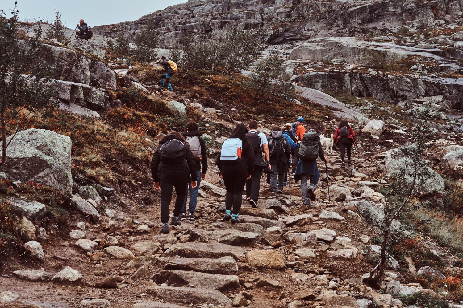 Triund Trek